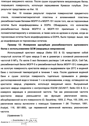 Биоадгезив мидии (патент 2349599)