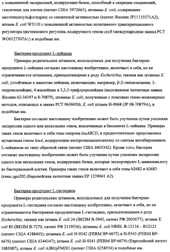 Способ получения l-треонина с использованием бактерии, принадлежащей к роду escherichia, в которой инактивирован оперон rspab (патент 2337961)
