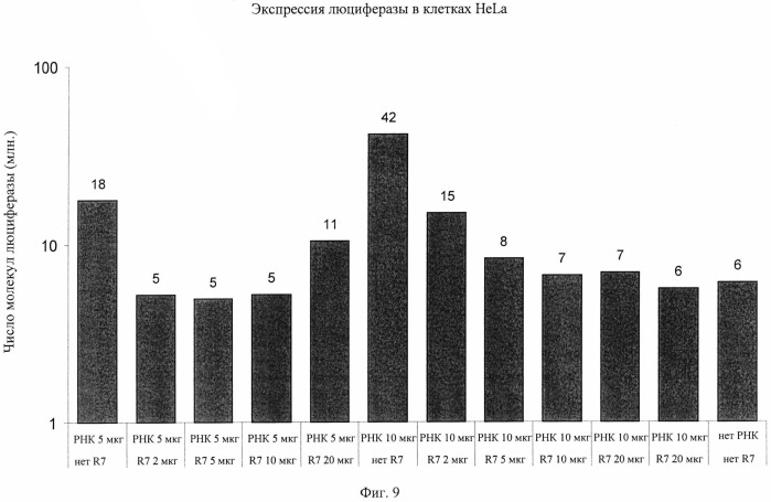 Комплексы на основе рнк и катионных пептидов для трансфекции и иммуностимуляции (патент 2493256)