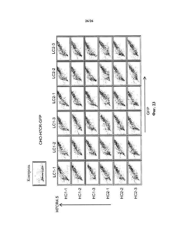 Антитела к h7cr (патент 2650756)