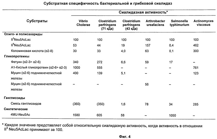 Новый класс терапевтических белковых молекул (патент 2468080)