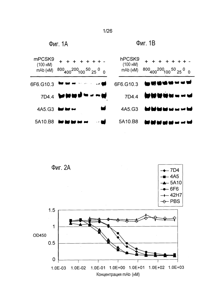 Антагонисты pcsk9 (патент 2618869)