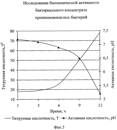 Способ получения бактериального концентрата пропионово-кислых бактерий (патент 2309982)