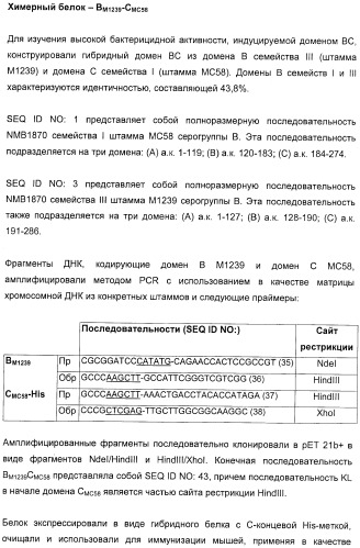 Домены и эпитопы менингококкового белка nmb1870 (патент 2375374)