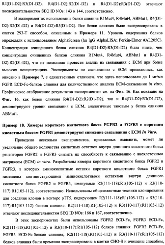 Мутеины кислотной зоны внеклеточного домена рецептора фактора роста фибробластов (патент 2509774)