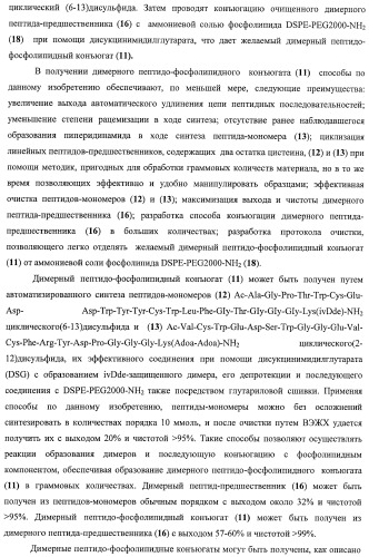 Конъюгаты фосфолипидов и направляющих векторных молекул (патент 2433137)