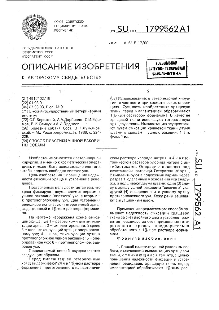 Способ пластики ушной раковины собаки (патент 1799562)