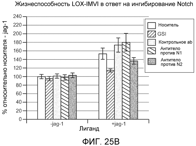 Антитела против notch2 и способы их применения (патент 2580029)
