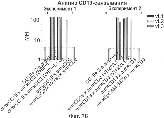 Полиспецифические деиммунизирующие cd3-связующие (патент 2401843)