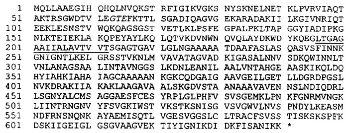 Антигены neisseria meningitidis (патент 2343159)