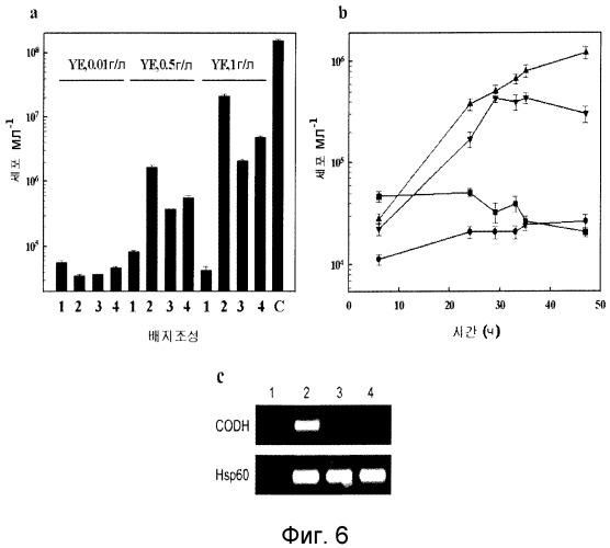 Новые гидрогеназы, выделенные из thermococcus spp., гены, кодирующие эти гидрогеназы, и способы продуцирования водорода с использованием микроорганизмов, содержащих указанные гены (патент 2499831)