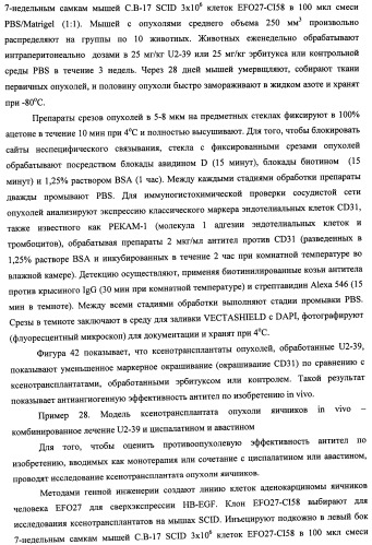 Белки, связывающие антиген фактор роста, подобный гепаринсвязывающему эпидермальному фактору роста (патент 2504551)