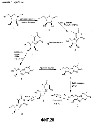 Синтез  -l-2&#39;-дезоксинуклеозидов (патент 2361875)