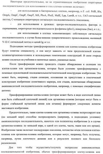 Аминокислотные последовательности, направленные на rank-l, и полипептиды, включающие их, для лечения заболеваний и нарушений костей (патент 2481355)