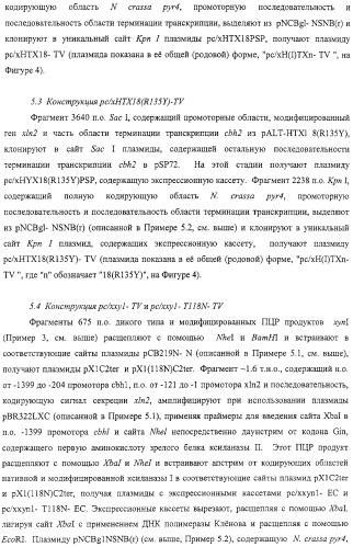 Модифицированная ксиланаза (патент 2394909)