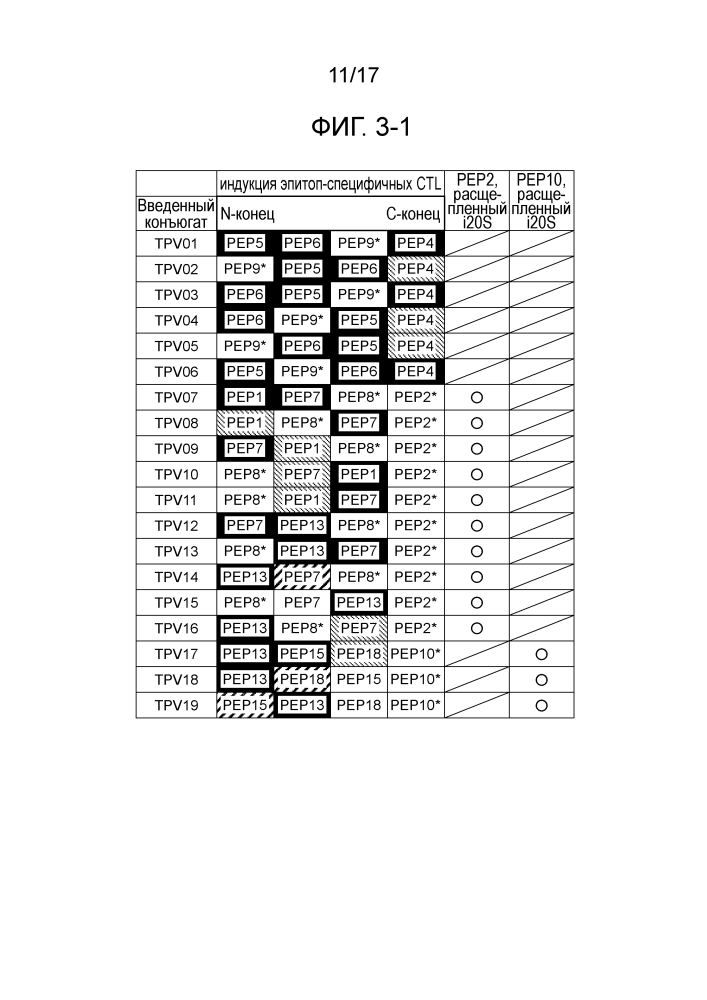 Новый пептид, имеющий 4 связанных ctl-эпитопа (патент 2636549)