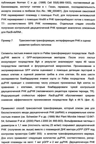 Новые последовательности нуклеиновых кислот и их применение в способах достижения устойчивости к патогенам в растениях (патент 2346985)