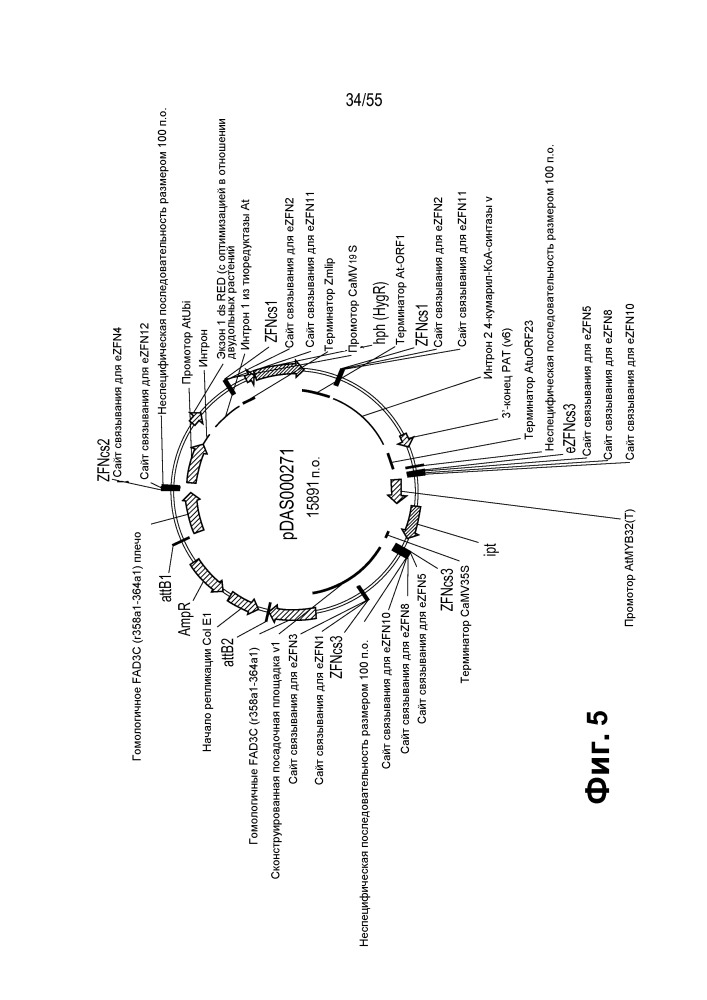 Локусы fad3 для выполнения операций и соответствующие связывающиеся со специфическими сайтами-мишенями белки, способные к вызову направленных разрывов (патент 2665811)