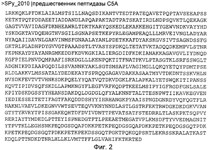 Многокомпонентная иммуногенная композиция для предупреждения заболевания, вызванного  -гемолитическими стрептококками (бгс) (патент 2478396)