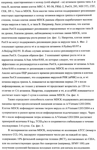 Способы и композиции для экспрессии антисмысловой вирусной рнк в клетках собаки (патент 2457250)