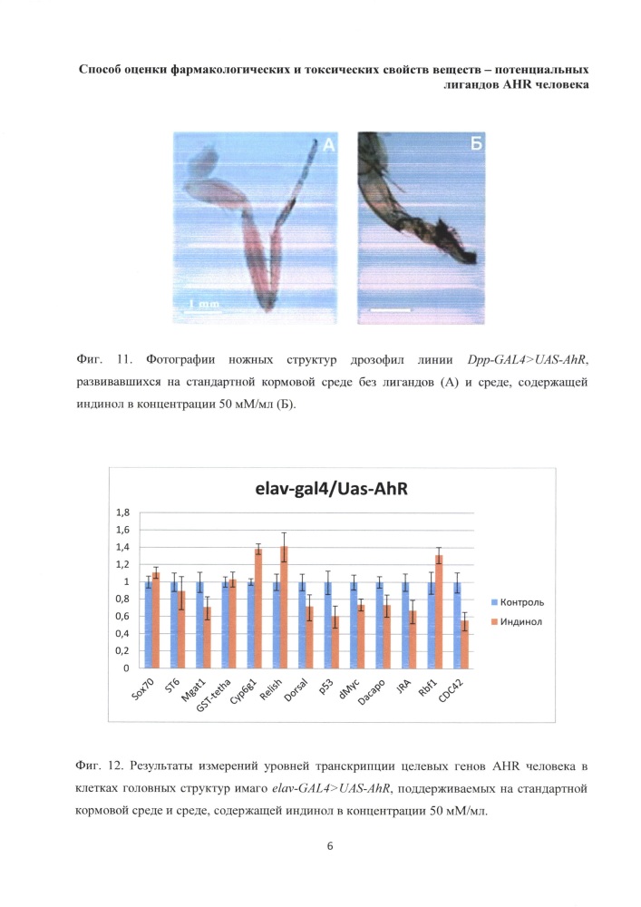 Способ оценки фармакологических и токсических свойств веществ - потенциальных лигандов ahr человека (патент 2664433)