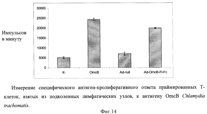 Способ получения рекомбинантной вакцины (патент 2444570)