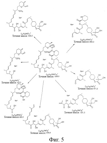 39-дезметокси производные рапамицина (патент 2391346)