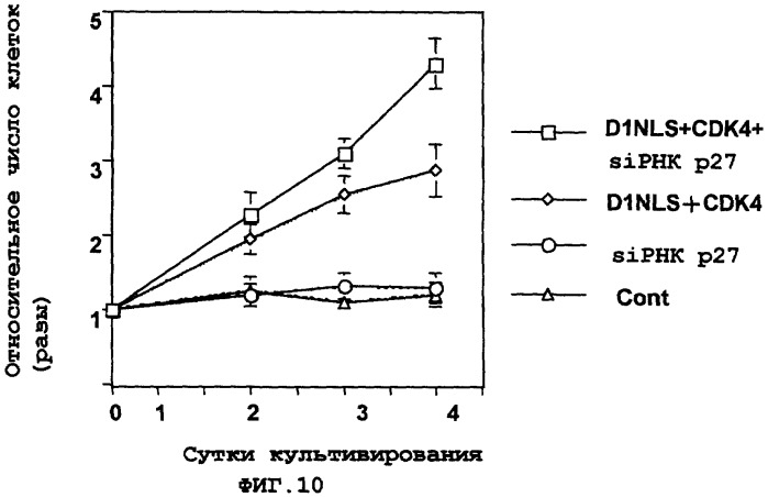 Способ пролиферации кардиомиоцитов (патент 2378375)