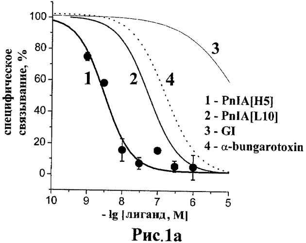 Аналог альфа-конотоксина pnia, обладающий высоким сродством и селективностью к ацетилхолин-связывающему белку из aplysia californica (патент 2458068)