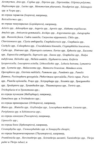 Пестициды, содержащие бициклическую бисамидную структуру (патент 2437881)