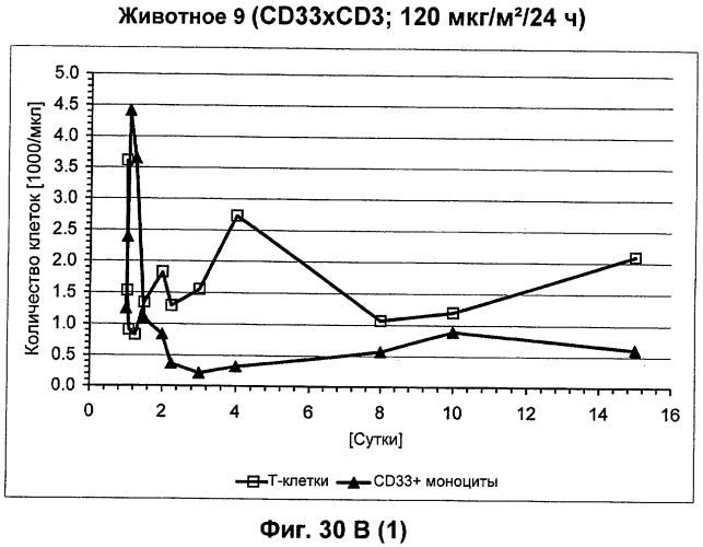 Cd3-эпсилон-связывающий домен с межвидовой специфичностью (патент 2561457)