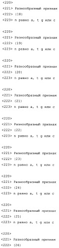 Слитые белки альбумина (патент 2369404)