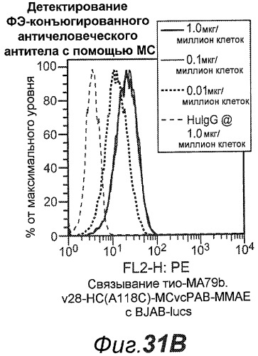 Анти-cd79b антитела и иммуноконъюгаты и способы их применения (патент 2511410)