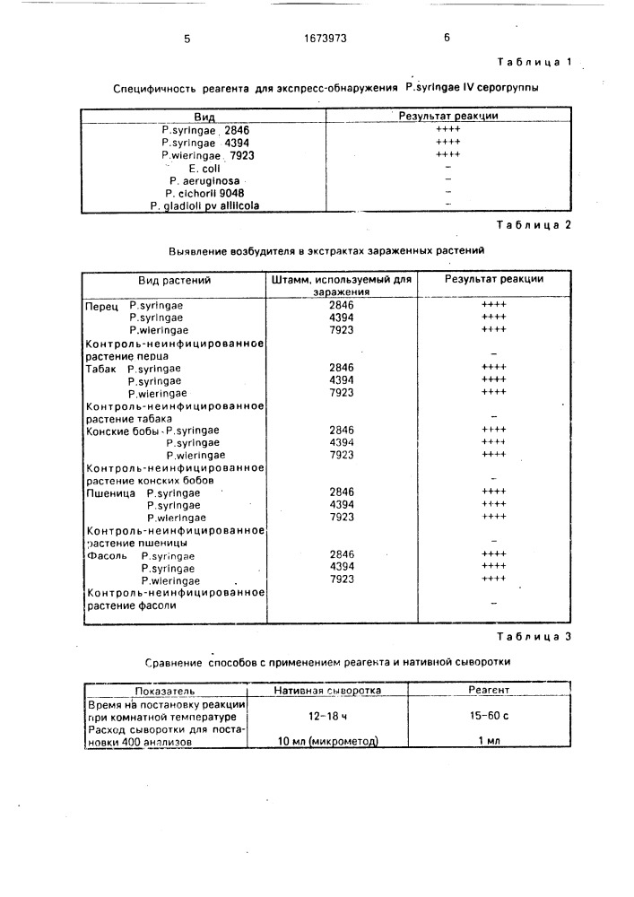 Способ диагностики заболеваний растений, вызванных рsеudомоnаs syringae 1у серогруппы (патент 1673973)