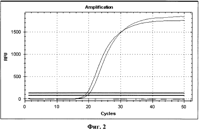 Набор олигонуклеотидных праймеров и флуоресцентно-меченого зонда для идентификации рнк вируса лихорадки долины рифт методом от пцр в реальном времени (патент 2552795)