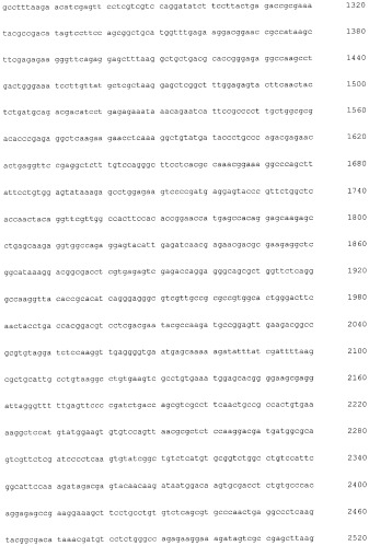Новая гидрогеназа seq id no:5, очищенная из thermococcus onnurienus na1 с помощью моноokcида углерода, кодирующие ее гены, и способы получения водорода с использованием микроорганизма, имеющего указанные гены (патент 2460789)