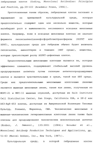 Способ лечения волчанки (патент 2396980)