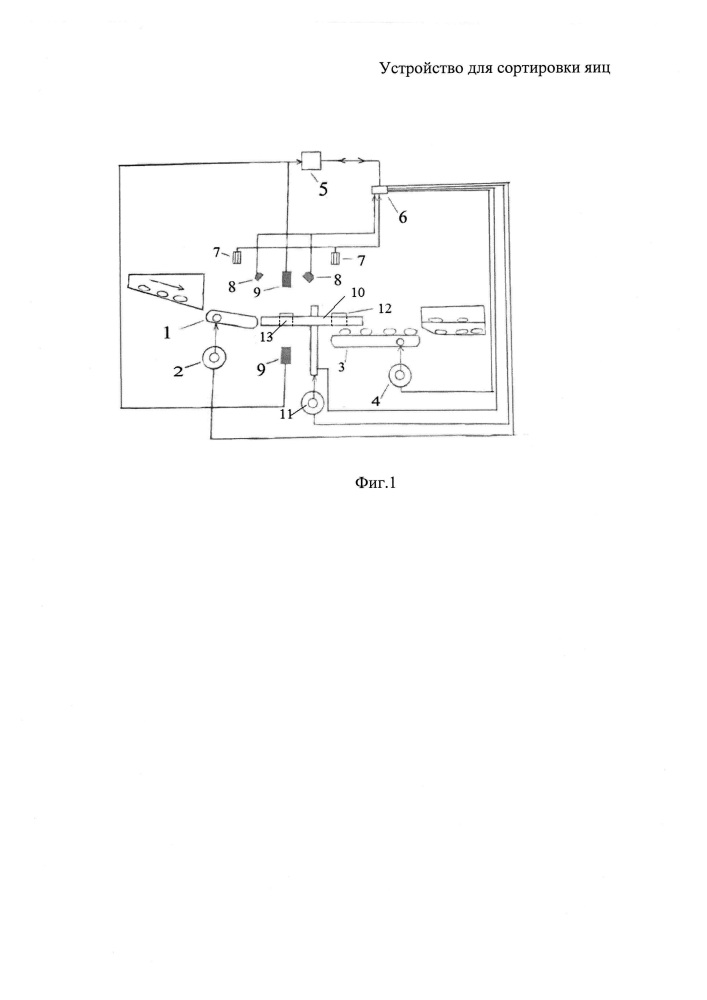Устройство для сортировки яиц (патент 2654328)