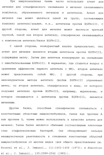 Scfv против egfrviii с улучшенной цитотоксичностью и выходом, иммунотоксины на их основе и способы их применения (патент 2317999)