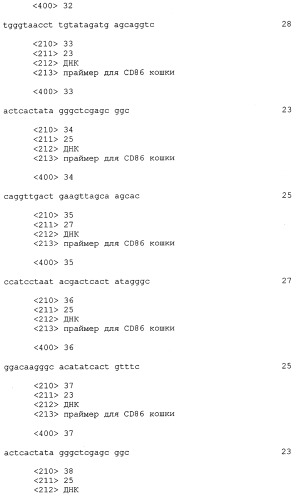 Выделенная нуклеиновая кислота, кодирующая лиганд cd86 кошки, диагностический олигонуклеотид, клонирующий вектор, вакцина, способы индукции или подавления иммунитета у кошки (патент 2263145)