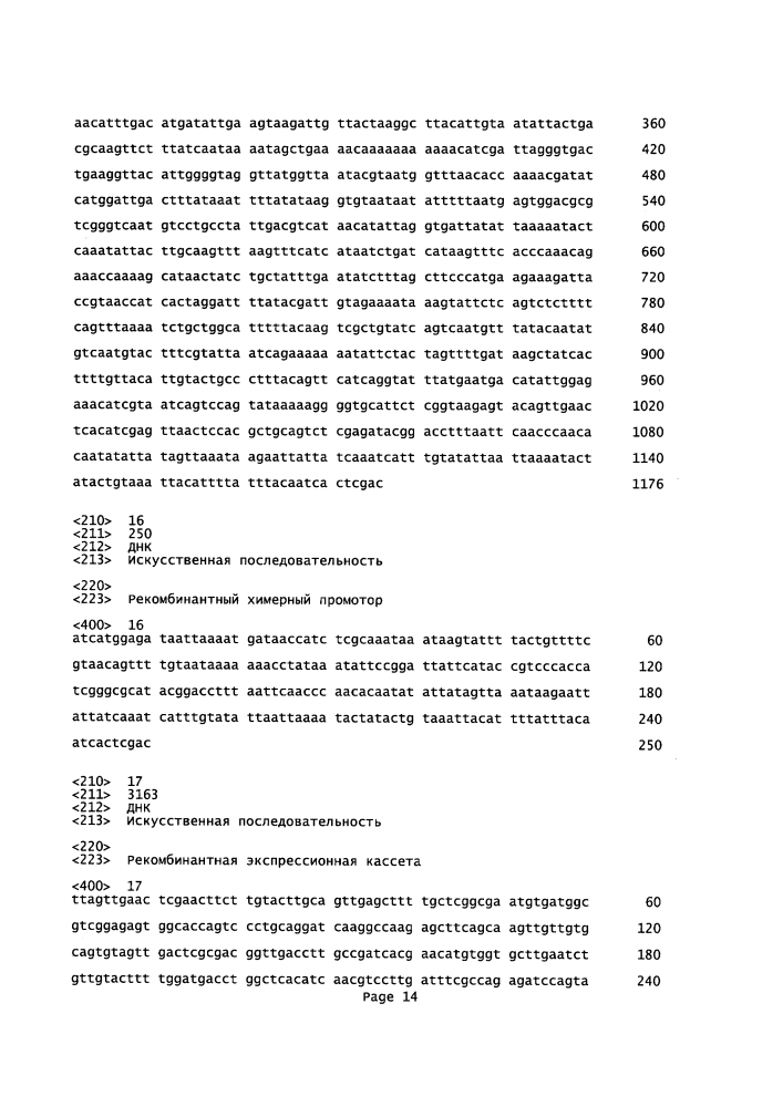 Элементы рекомбинантной днк для экспрессии рекомбинантных белков в клетке-хозяине (патент 2619161)