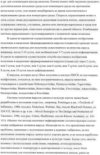 Линии клеток почки собаки майдин-дэрби (mdck), поддерживающие рост вирусов до высоких титров, и способ применения этих клеток в биореакторе (патент 2487935)