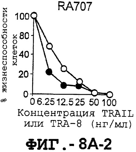 Антитело, обладающее селективностью по отношению к рецептору лиганда, индуцирующему апоптоз, ассоциированный с фактором некроза опухоли, и его использование (патент 2298013)