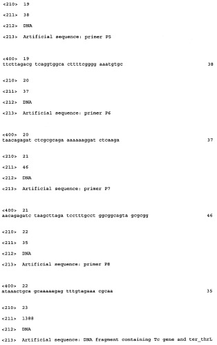 Способ получения l-треонина с использованием бактерии, принадлежащей к роду escherichia, в которой инактивирован кластер генов sfmacdfh-fimz или ген fimz (патент 2333953)