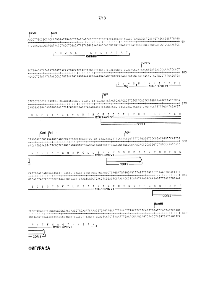 Гуманизированное тау-антитело (патент 2644242)