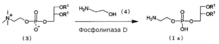Носитель лекарственного средства (патент 2476204)