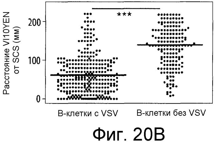 Никотиновые иммунонанотерапевтические лекарственные средства (патент 2487712)