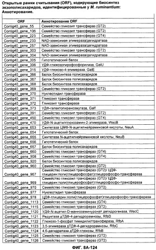 Вакцины и компоненты вакцин для подавления микробных клеток (патент 2528854)