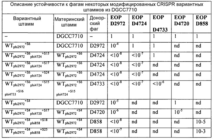 Способ генерирования заквасочной культуры, заквасочная культура и способ ферментации с ее использованием (патент 2531343)