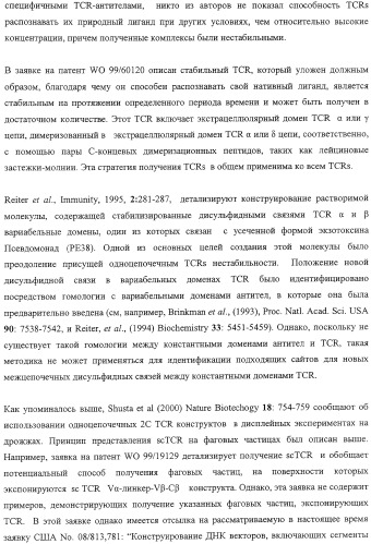 Экспонирование т-клеточных рецепторов (патент 2346004)